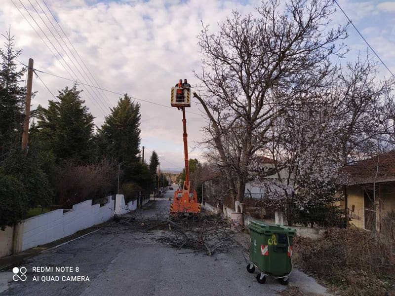 Κλάδεμα δέντρων με καλαθοφόρο εντός οικισμού